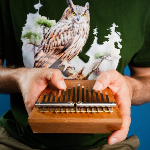 chłopak trzymający kalimbę